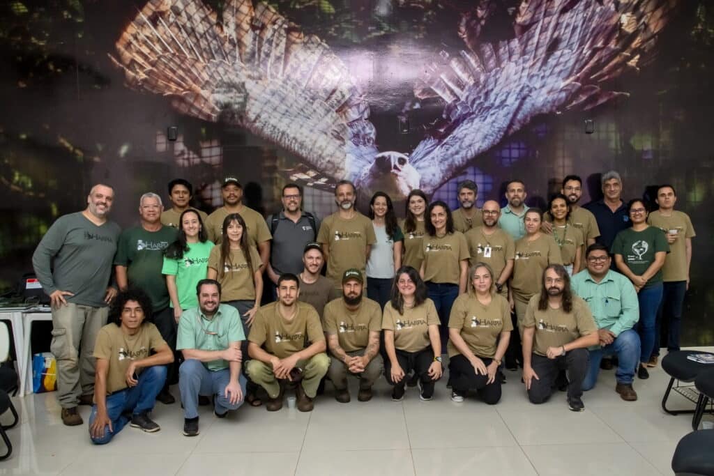Grupo de pesquisadores do Projeto Harpia, de diversas regiões do Brasil, reunidos em uma mesa de trabalho discutindo estratégias de conservação da Harpia.