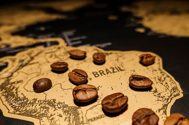 Exportação de café do Brasil acumula queda de 6,3% em 2021