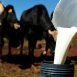 Custos de produção elevados para o produtor de leite