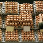 Alta no preço de insumos prejudica mercado de ovos