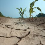 Chuvas no ES amenizam a crise hídrica? Como fica o agronegócio?