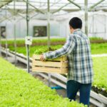 Agroindústria promete forte crescimento em 2021 