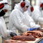 Após surto de vaca louca, China e Rússia liberam entrada de carnes brasileiras