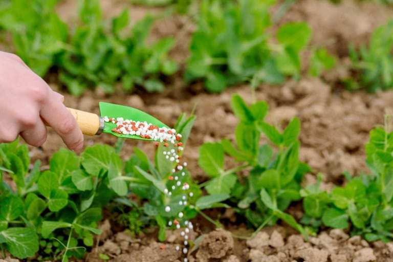 Crise de fertilizantes pode prejudicar agro capixaba e nacional