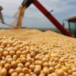 O que são as commodities e como elas afetam o agro e o Brasil? 