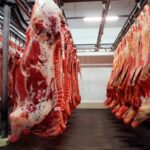 Exportações de carne bovina sofrem queda em 2021 com embargo da China 