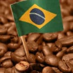 Brasil exporta 39,6 milhões de sacas de café e registra receita recorde de US$ 8,1 bilhões