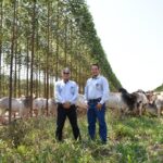 Comitiva capixaba visita fazenda carbono neutro em Mato Grosso do Sul