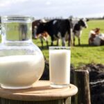 Preço do leite pago ao produtor apresenta queda de 6,5% em outubro, diz Cepea