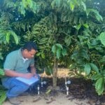 Tecnologias de irrigação aumentam produtividade e diminuem riscos de perdas de lavouras no Espírito Santo