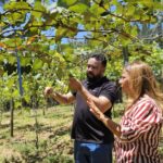  Cultivo de uvas abre novas oportunidades para turismo rural em Guarapari