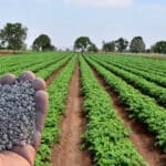 Agricultor vive momento favorável para compra de fertilizantes