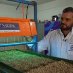 Startup de São Mateus desenvolve tecnologia voltada para esterilização da pimenta-do-reino
