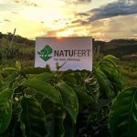Natufert: ajudando a alimentar o agronegócio com sustentabilidade
