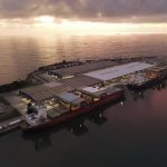 Portocel estabelece recorde mundial no embarque de celulose