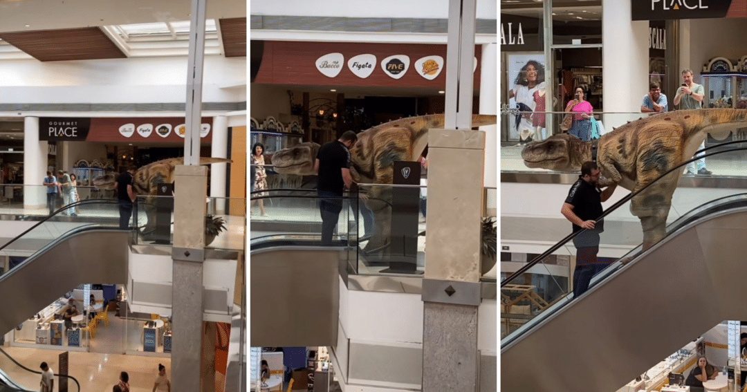 Dinossauro desce escada rolante do Shopping Vitória e diverte a web: "Cuidado, Rodolfo!" (Foto: Reprodução/Instagram @igvxii)