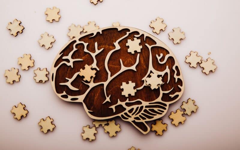 Aprenda como a formação da memória é crucial para o processo de aprendizagem e como você pode otimizar seu cérebro para reter mais informações.