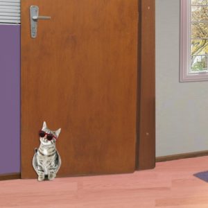 Trava-portas de gatinho da Casa Diseño
