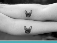 tatuagem animal de estimação
