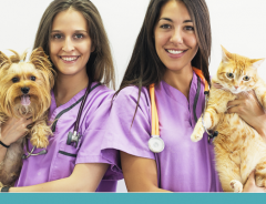 Prevenção do câncer de mama em cadelas e gatas