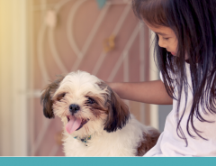 Pets auxiliam na terapia de crianças com síndrome de down